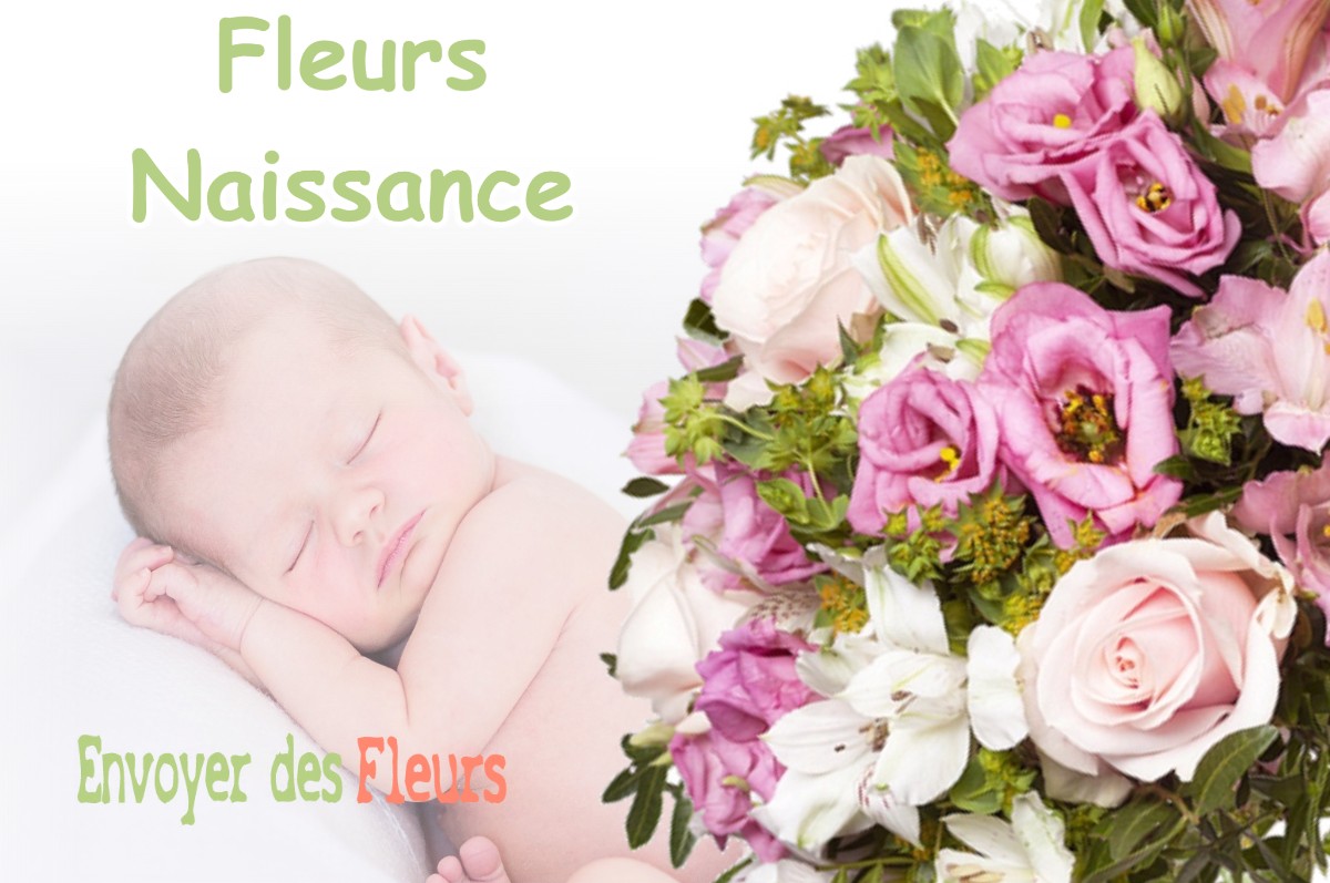 lIVRAISON FLEURS NAISSANCE à MONTBRUN-LAURAGAIS